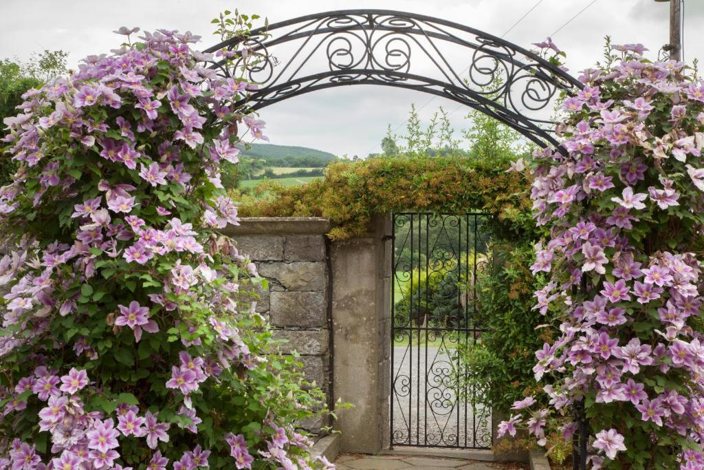 Ballymacarbry Glasha Farmhouse 게스트하우스 외부 사진