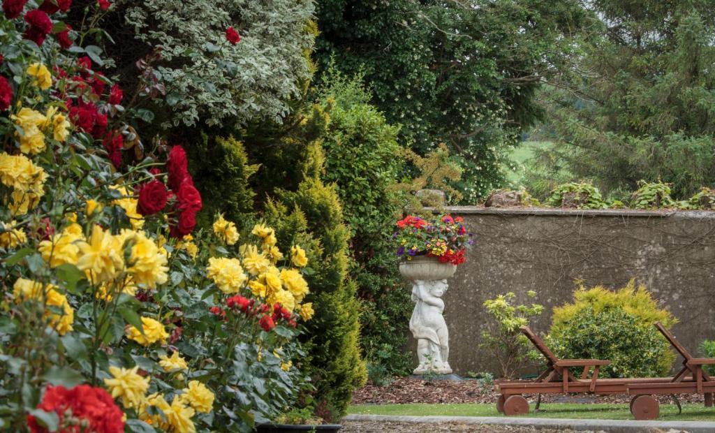 Ballymacarbry Glasha Farmhouse 게스트하우스 외부 사진